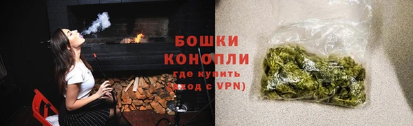 apvp Иннополис