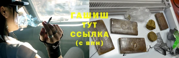 apvp Иннополис