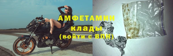 apvp Иннополис