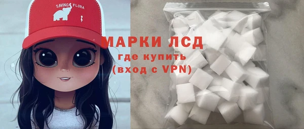 apvp Иннополис