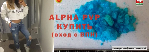 apvp Иннополис