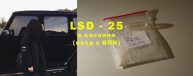PSILOCYBIN Инта