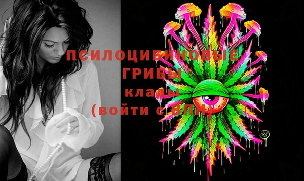 PSILOCYBIN Инта