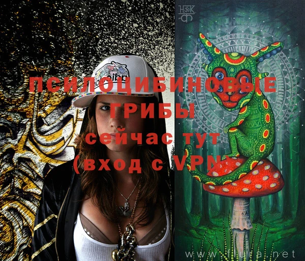 apvp Иннополис