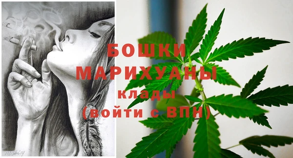 apvp Иннополис