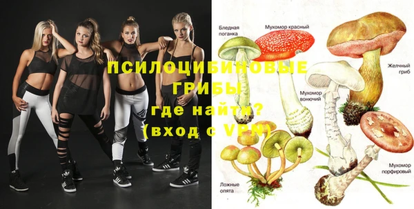 МДМА Инсар