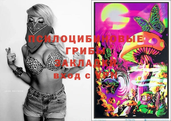 PSILOCYBIN Инта