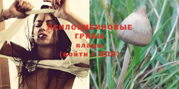 PSILOCYBIN Инта