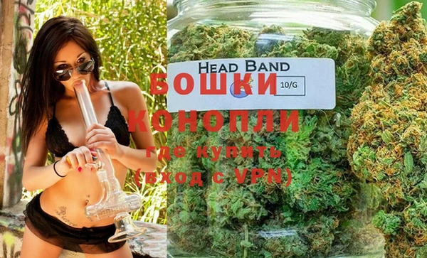 PSILOCYBIN Инта