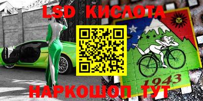 прущие грибы Усть-Джегута